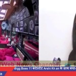 #Goa_Sex रैकेट वाली रात #Bigg_Boss_11 कंटेस्टेंट #Arshi_Khan के साथ क्या क्या हुआ था on #BCR_NEWS