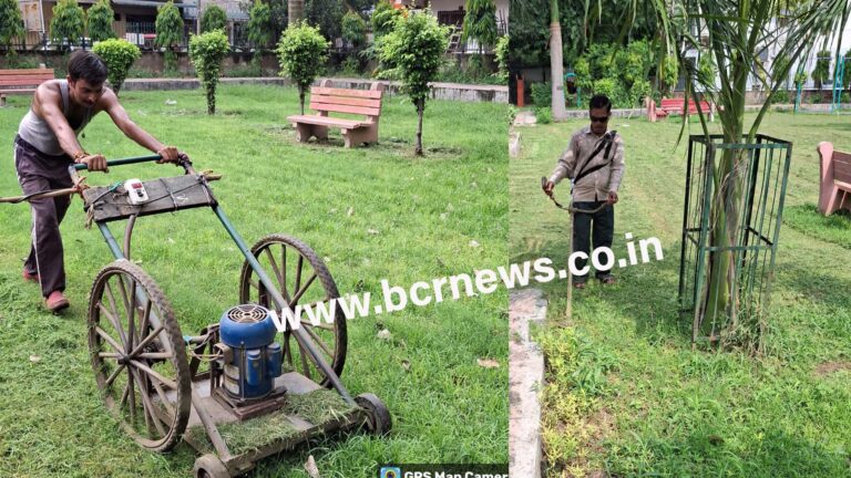 Grass Cuting - bcr news