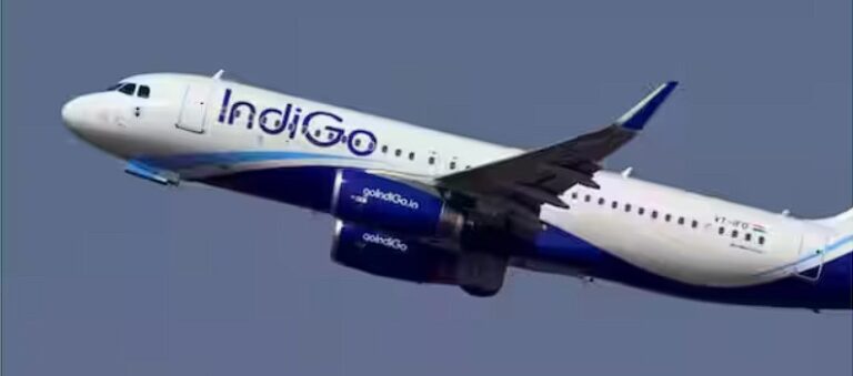 Indigo Airline