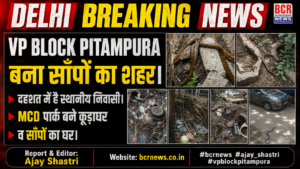 VP Block News