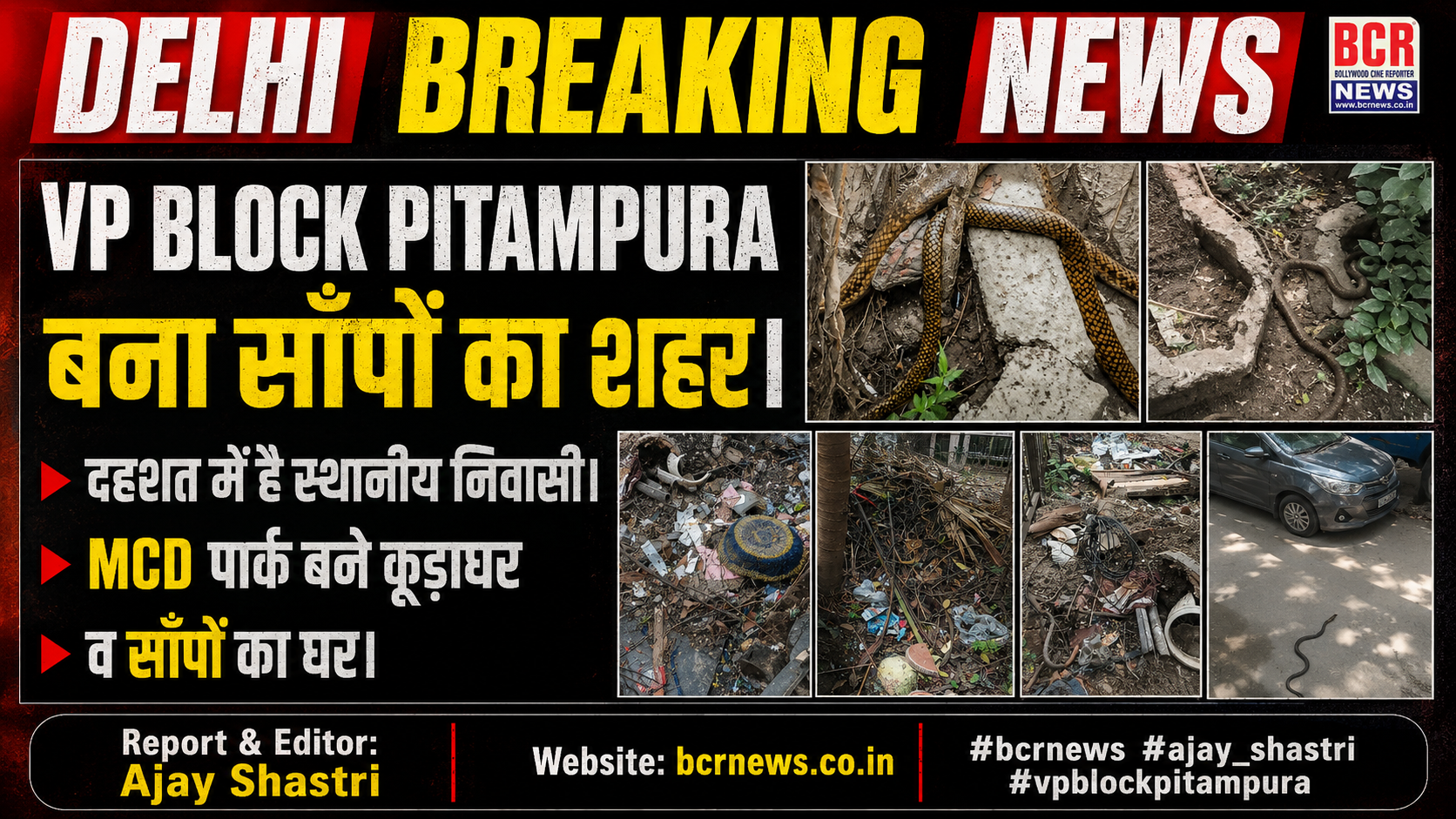 VP Block News